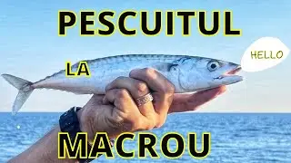 Pescuit de Macrou in UK: Echipament si Tehnici Folosite