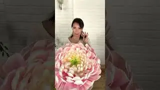СКИДКА 50% по предзаказу на МК по Астре.