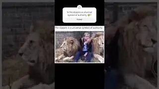 Is the slippers a universal symbol of authority 🤣?. #meme #shorts #slippers