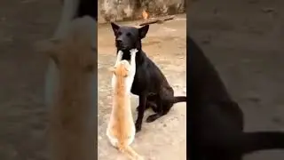 Береги руку Сеня