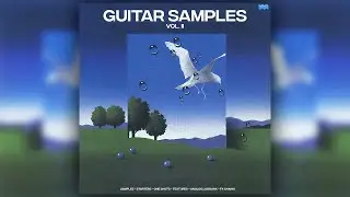 GUNNA LOOP KIT / SAMPLE PACK - 