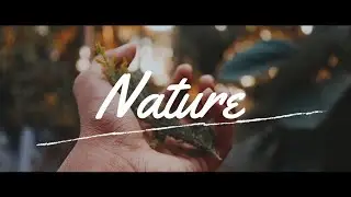 Nature | Cinematic Video | 1080p | Canon 200D | SL2
