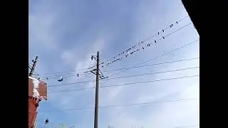 На слете часть 6