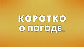 Жара в Саратове