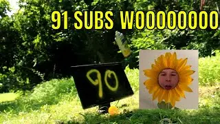 91 SUBSCRIBER CELEBRATION