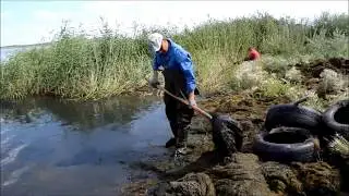 Очистка пруда от растительности. Карагандинский рыбопитомник, 2015 год