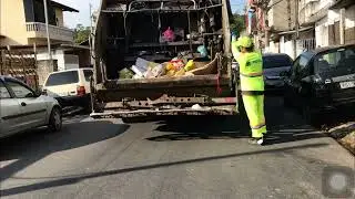 Coletores de cotia
