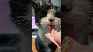 Фенюшка лакомится.