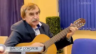 Виктор Соколов