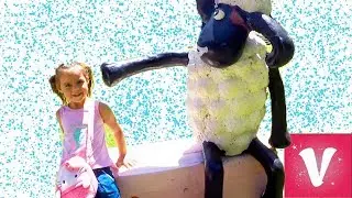 Овечья ферма на Самуи Таиланд Кормим барашков молоком