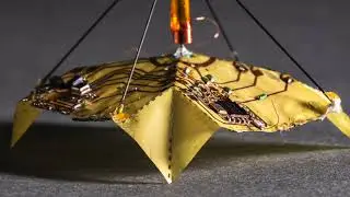 Battery-free origami microfliers take flight