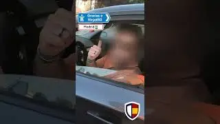 Yes, the rest of us are idiots - Dashcams Spain