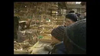 7 апреля - Благовещение Пресвятой Богородицы