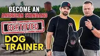 Become A CERTIFIED DOG TRAINER - Apply Now!