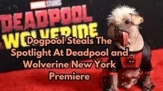 Dogpool Steals The Spotlight At Deadpool and Wolverine New York Premiere