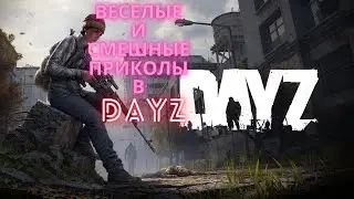 DayZ | Веселые и смешные приколы в DayZ | Дейз | Первый взгляд в дейзи | Учимся играть в дейзи |