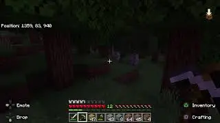 Minecraft EP.4