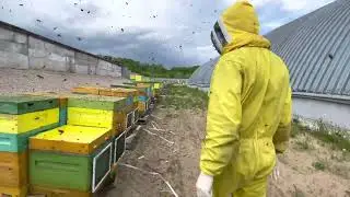 Веранды на ульи для кочевки и защиты от потрав