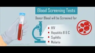 Screening tests in Blood bank part 2