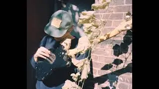Mac Demarco - Passing Out Pieces (Sped Up)