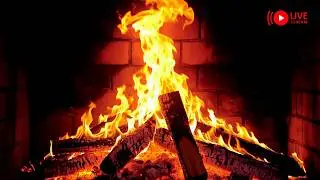 Real Fireplace LIVE 🔥 24/7 Crackling Fire Sounds |  Cozy Ambience