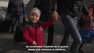 Datos sobre refugiados ucranianos | 12 Meses Mediaset