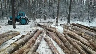 Пытаюсь накопать 1000кг металла в делянках! Металлокоп 2022года
