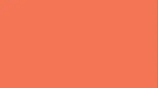 10 Hours Sleep Music [White Noise] Coral Screen