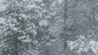 Snowfall