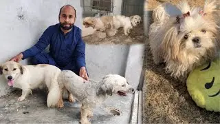 Pixcy or moti ki meeting hogai