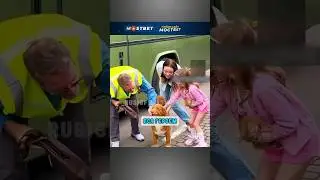 Пёс помог спасти котят 😲