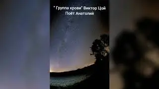 Один в один лучшее! Жесть! Голос как у Виктора Цоя! Группа крови | Кино