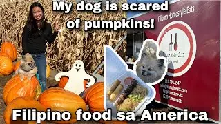 MY DOG is SCARED of PUMPKINS || HALLOWEEN + FALL in Minnesota