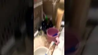 🐰🐰🐰