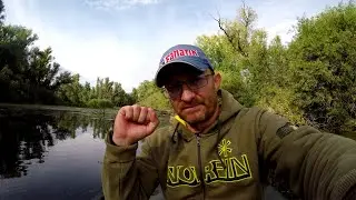 В этом 