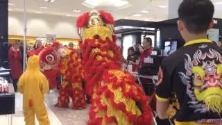 Chinise New Year in Vancouver