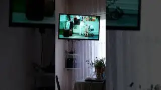 Сашатаня ТНТ