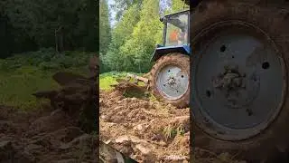 Трактор в поле #мтз #мтз82 #bes #automobile #farming #трактор #мтз80 #мтз320 #shorts