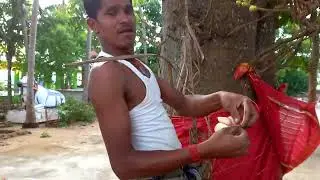 Shiva Linga flower plucking at pachimeswar temple #flowers #shivalinga