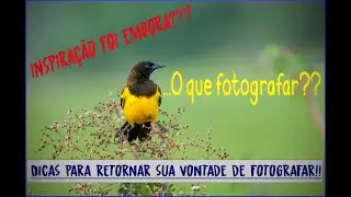 O que fotografar  ou  A volta da inspiração