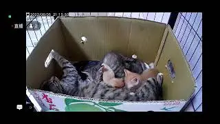 一家七口擠在小套房 0605
