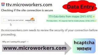 TTV-Data Entry | Checking if the site connection is secure | microworkers