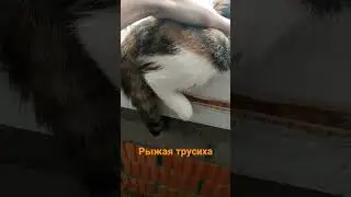 рыжая