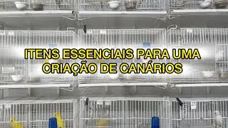 ITENS ESSENCIAIS PARA UMA CRIAÇÃO DE CANÁRIOS