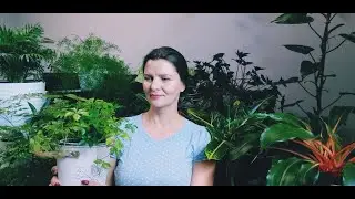 Разговоры о важном (для меня)