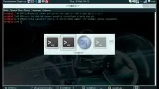 phpMyADmin в Kali Linux