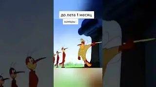 Боевая подготовка комаров к лету 🤣🤣🤣 