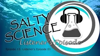 Episode 13: Listener's Episode (Vol. 1) | Salty Science Podcast