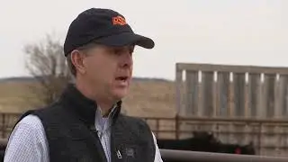Weaning Fall Calves Early?