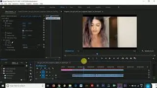 How to use adjustment layer in Premiere Pro CC in Hindi | edit magic | Premiere Pro cc in Hindi 2020